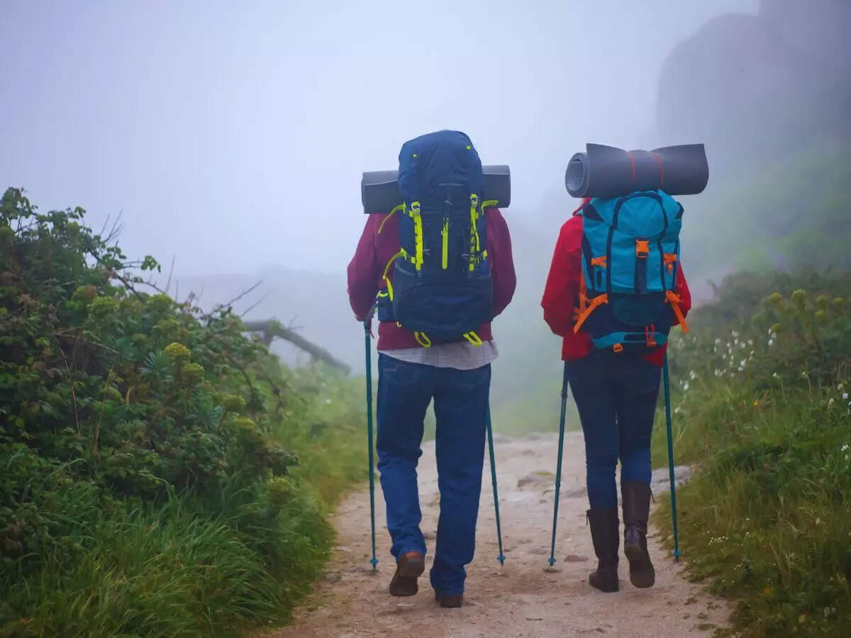 Valley of flower trek