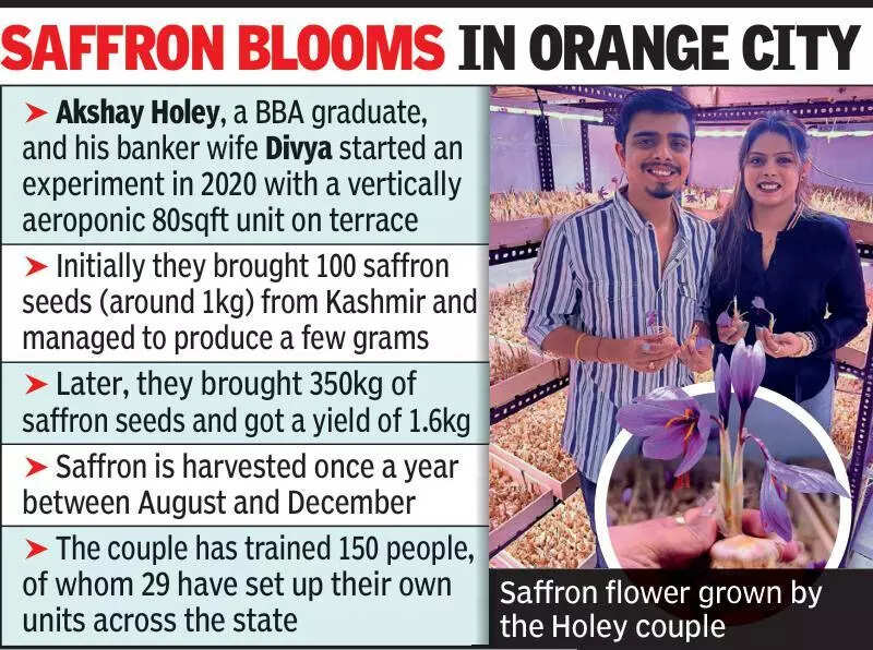 Couple replicates Kashmir in hot Nagpur, grows saffron in air, generates Rs 50L per annum