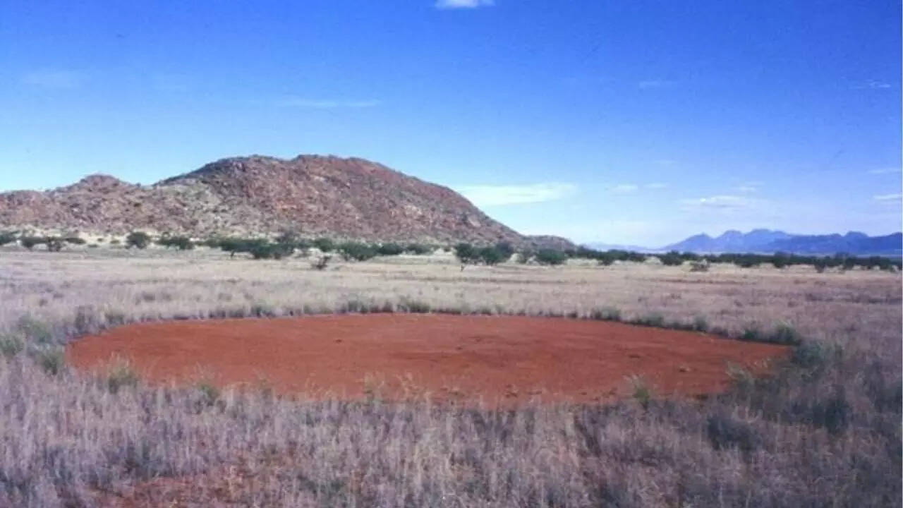Fairy Circles