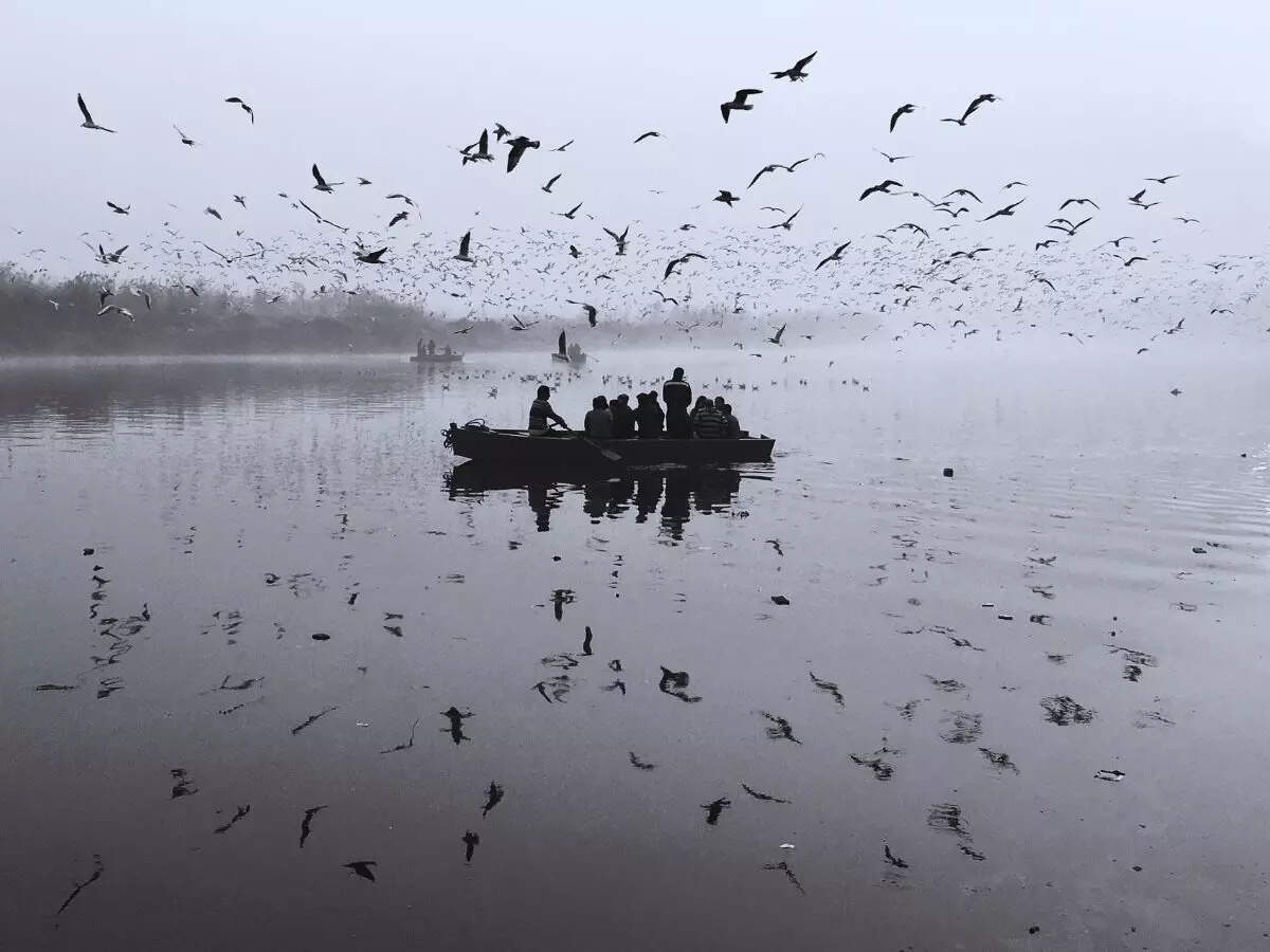 Yamuna
