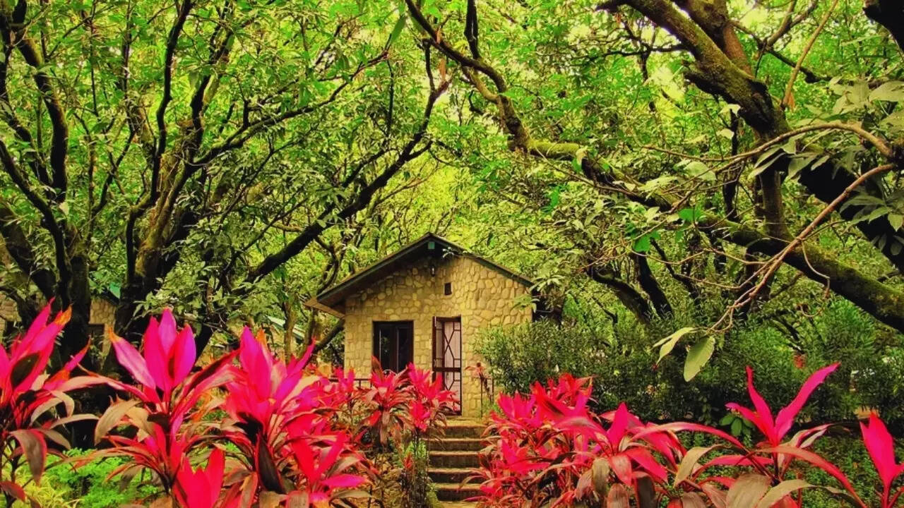 The Den Corbett in Ramnagar, Uttarakhand