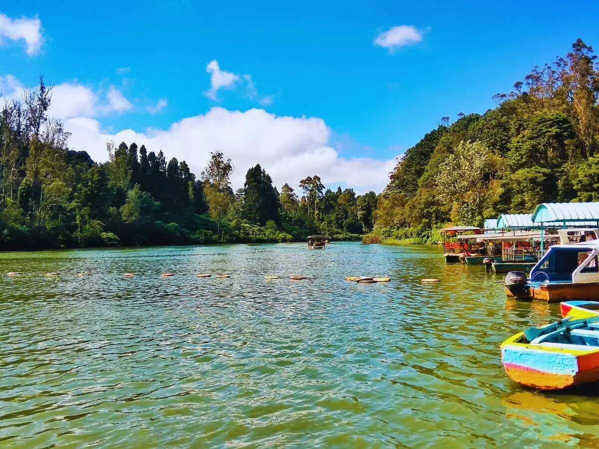 Ooty