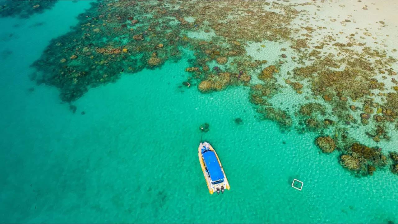 Great barrier reef