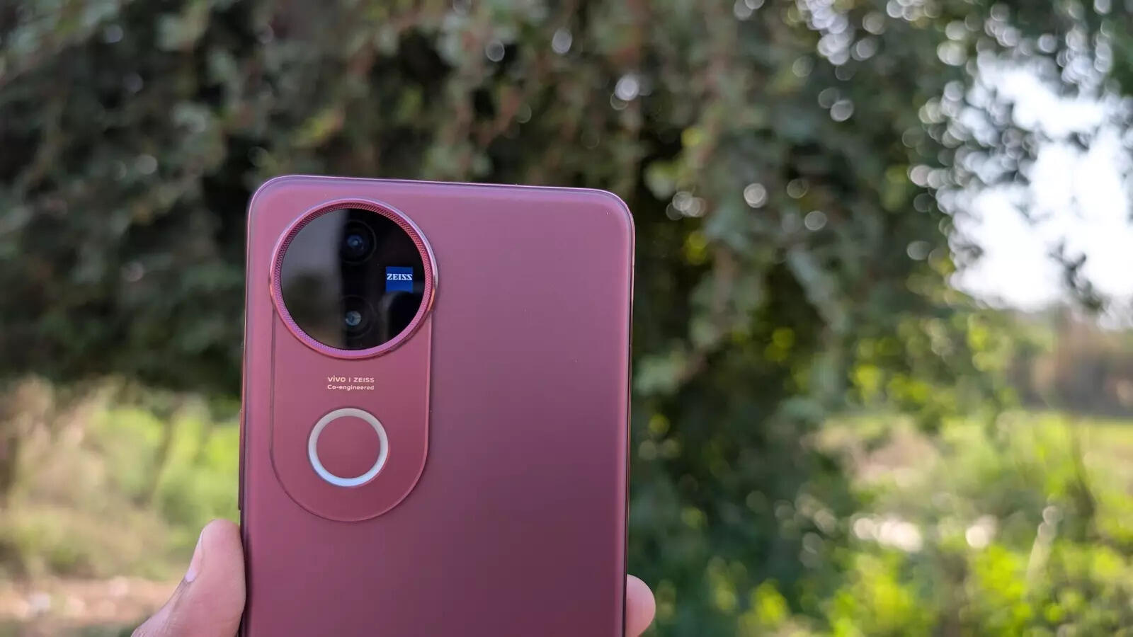 Vivo V50 design