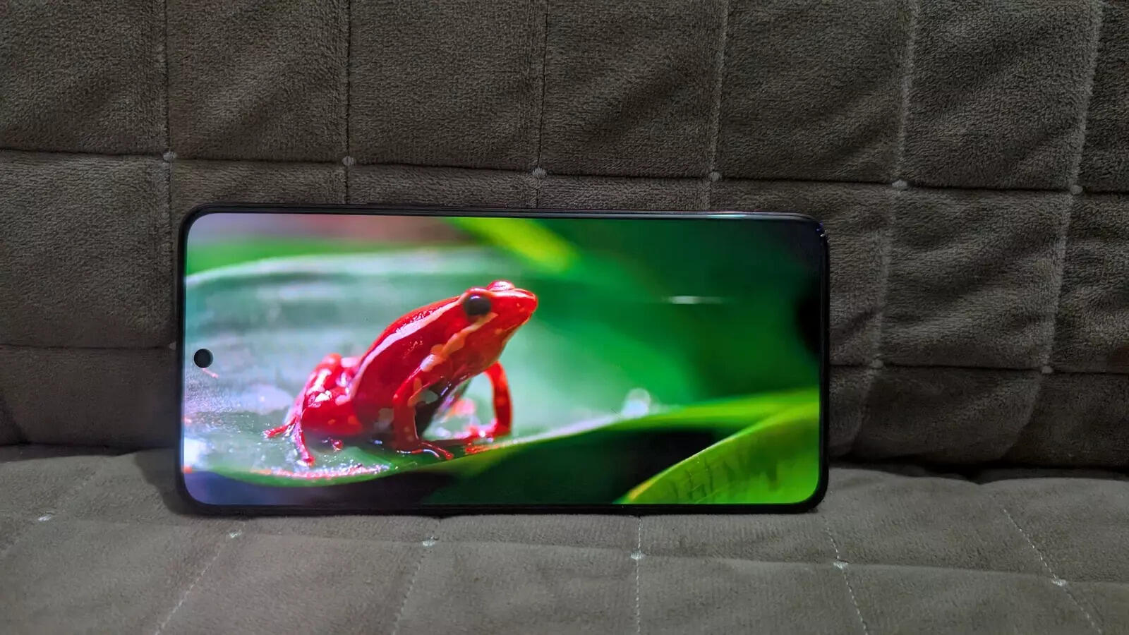 Vivo V50 display