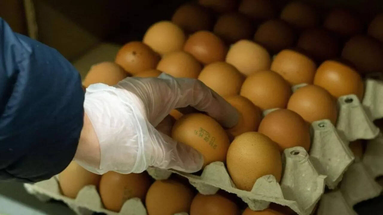 Eggs (5)