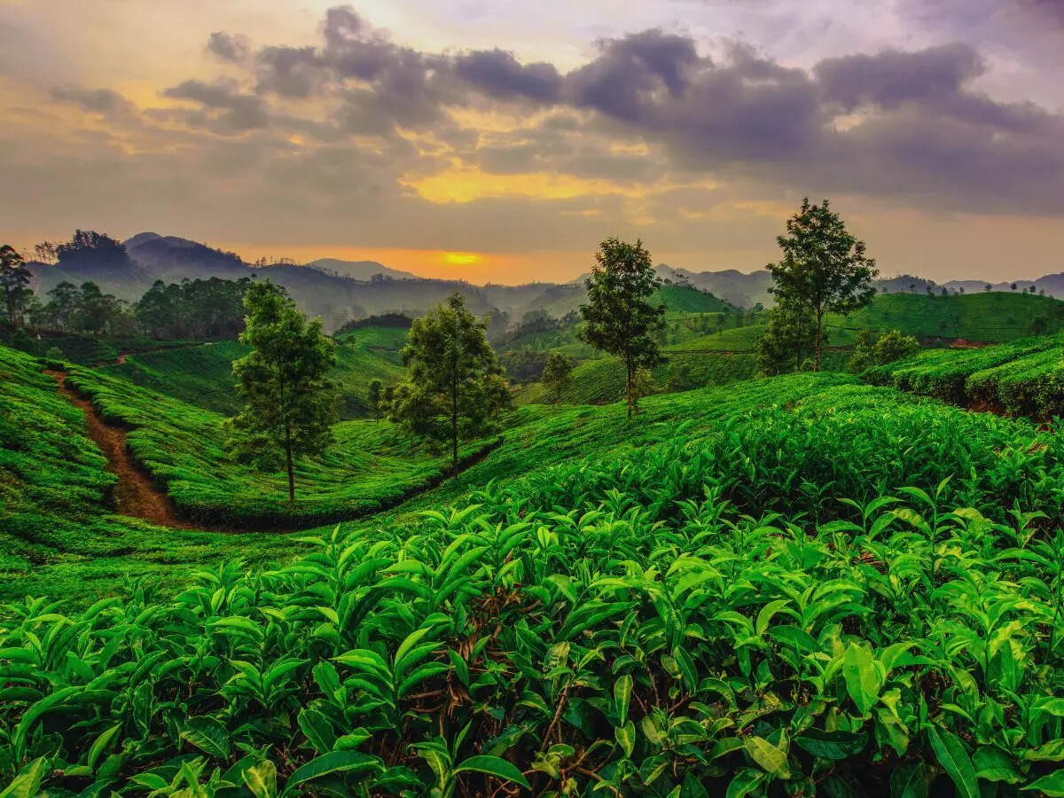 March in south India