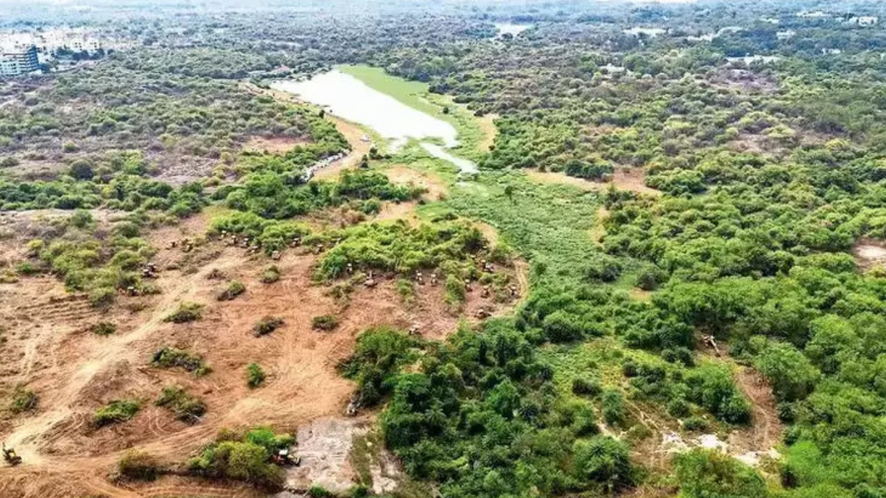 Facing pressure from various groups, the Telangana government cancelled its plan to auction 400 acres at Kancha Gachibowli