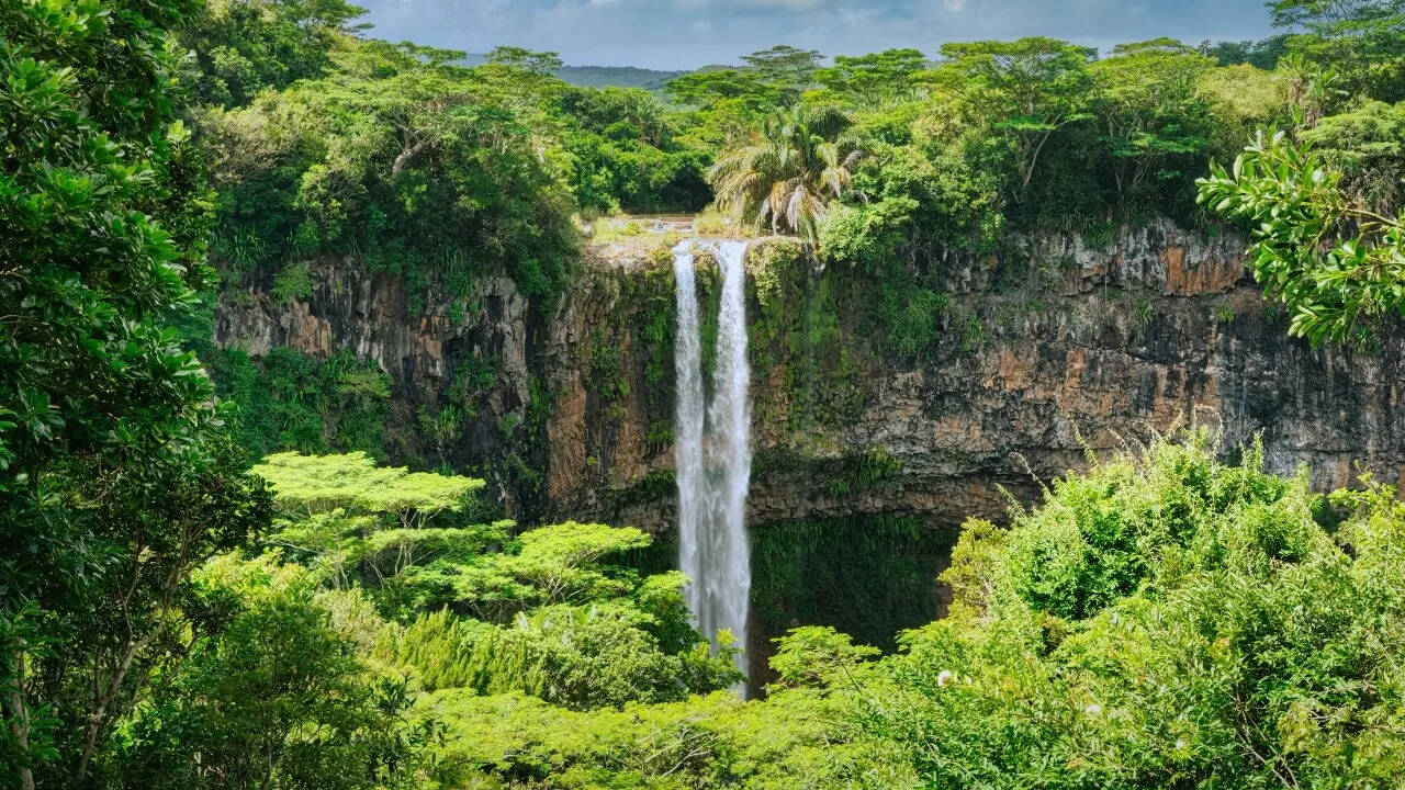 Unique environment and adventure