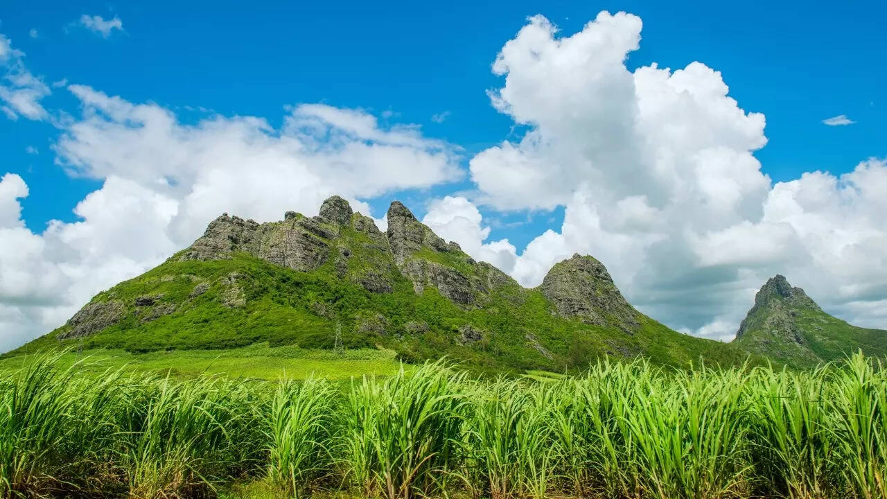 Learn about the island’s history