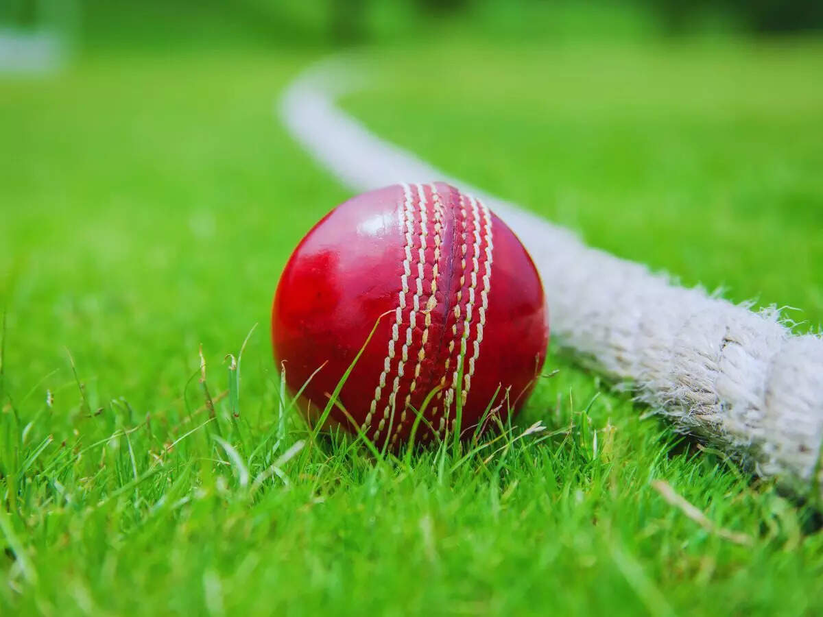 Cricket