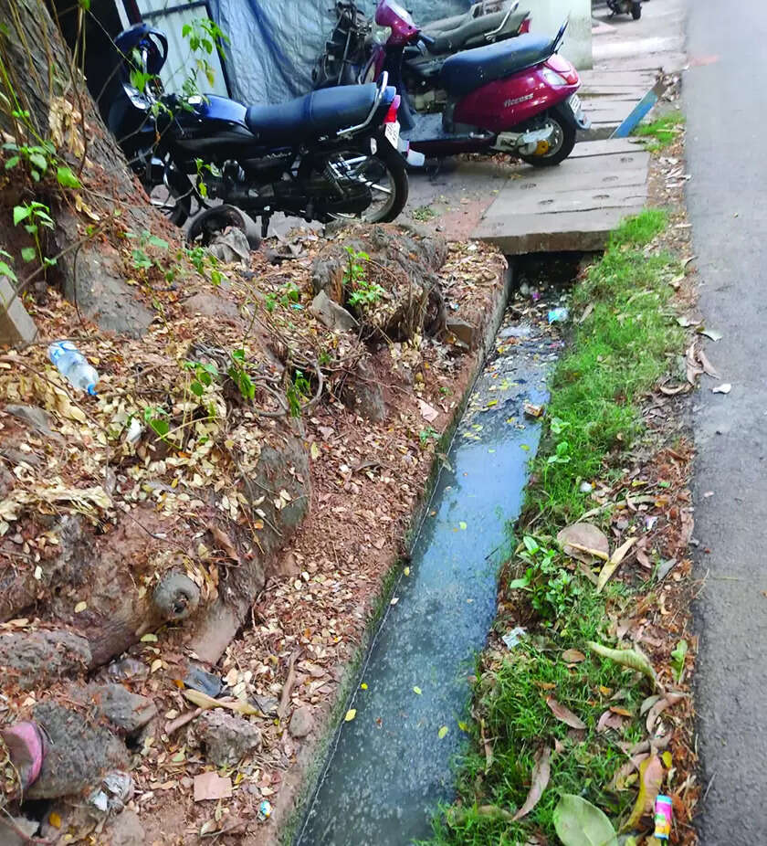 Ponda municipality warns 1.5k units to get sewerage connections or lose water supply