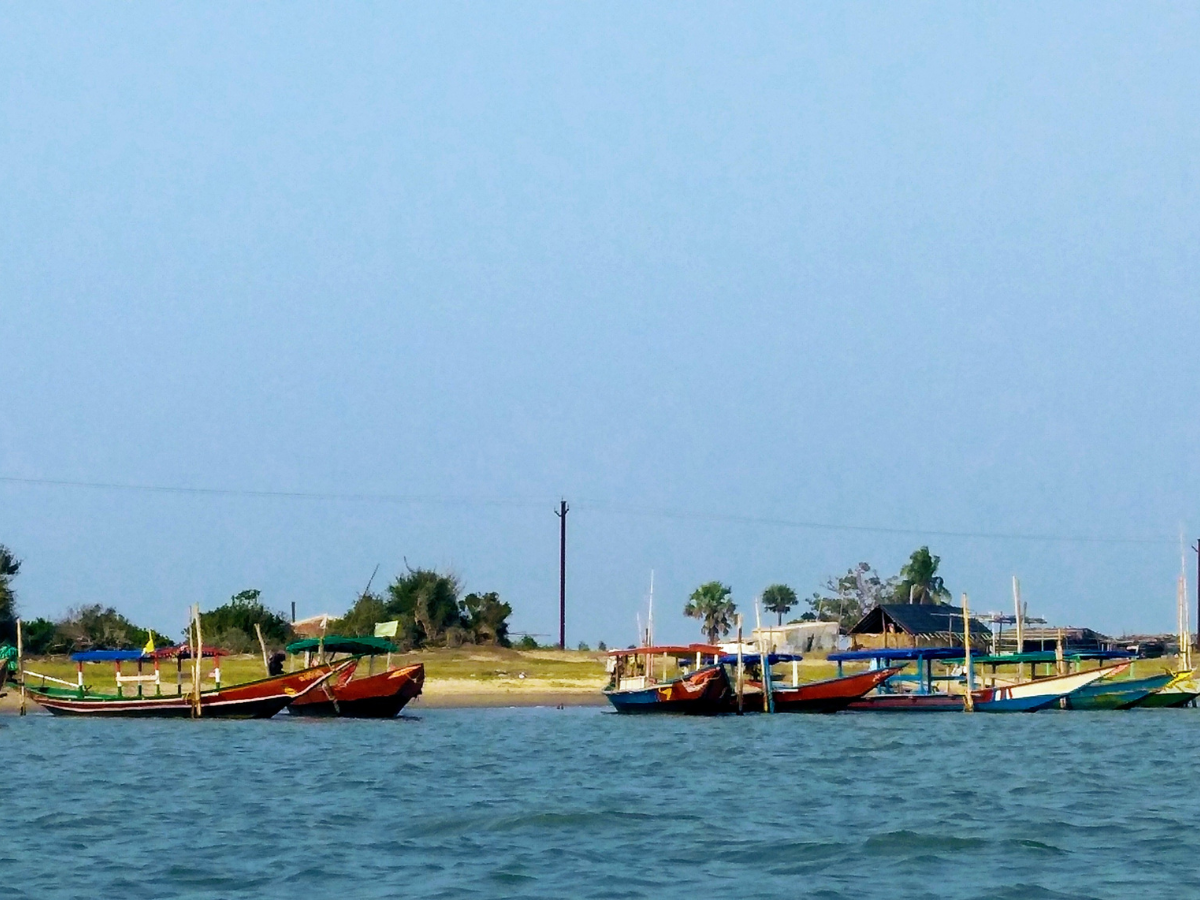 Chilka lake