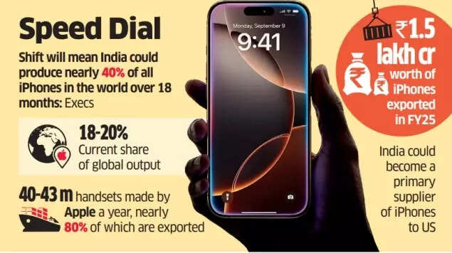 Apple's India Plans