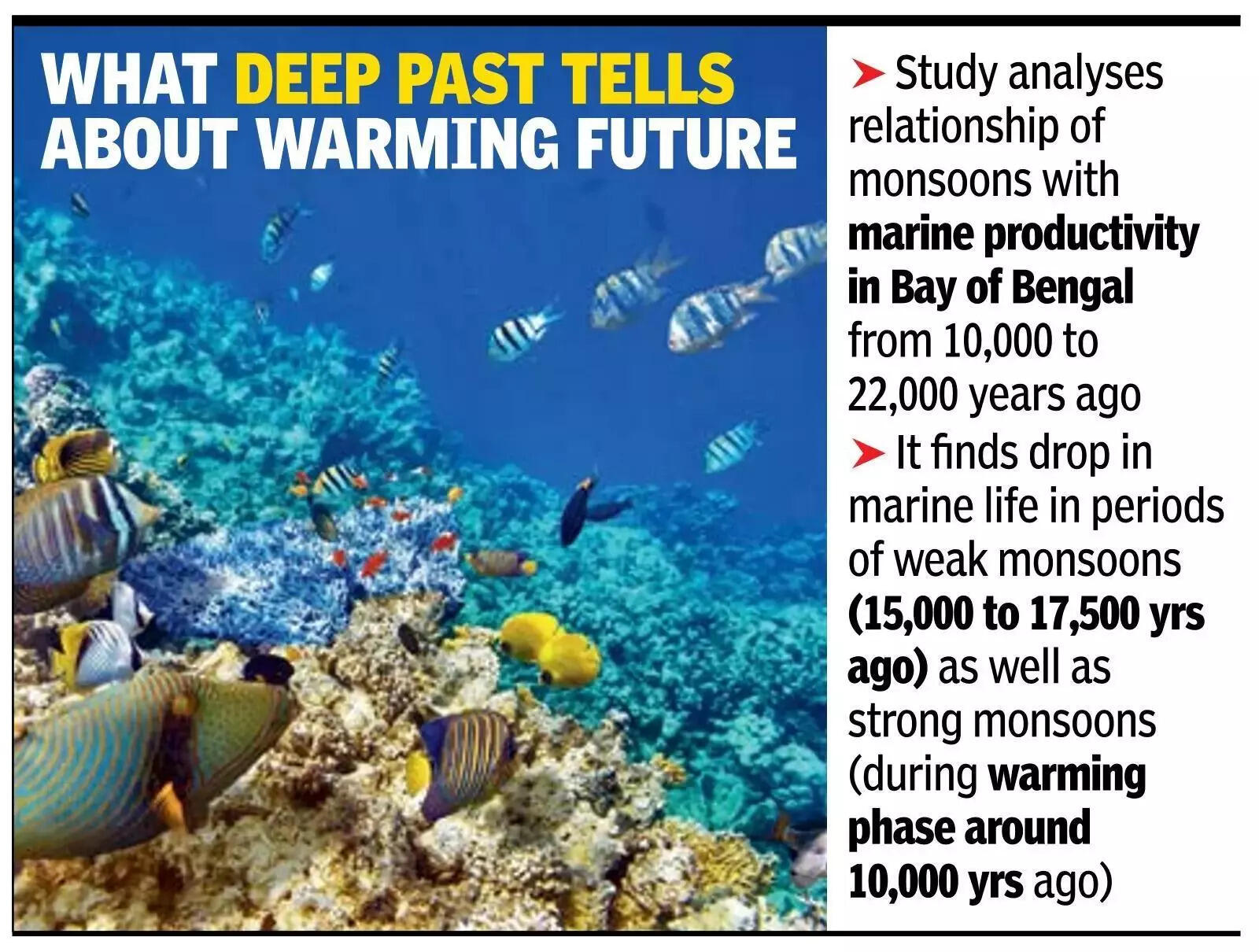 Extreme monsoon may lead to dip in sea fish catch_ Study.
