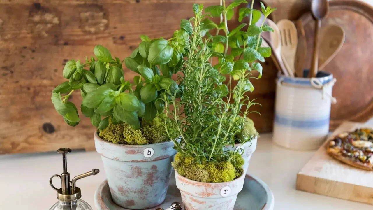 Mother's day gifts (4)