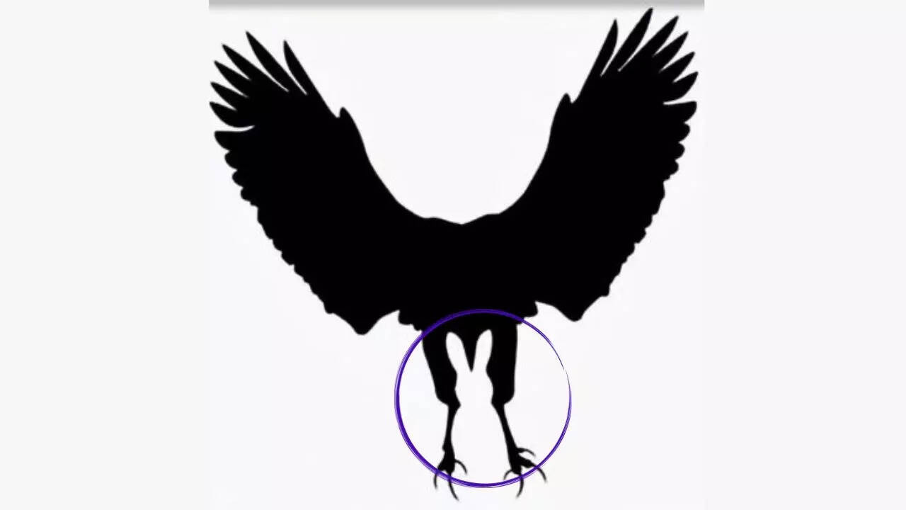 Optical illusion personality test