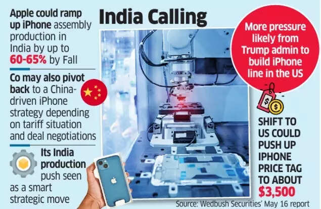 Apple India Plans