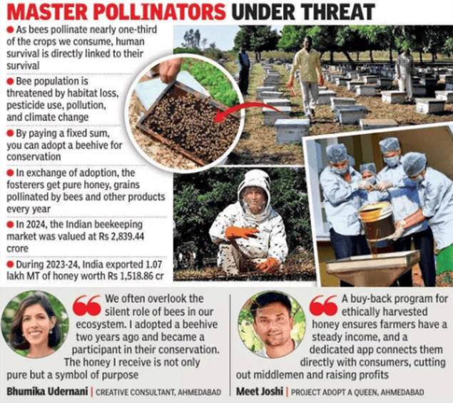 Participants receive natural honey and pollinated grains.