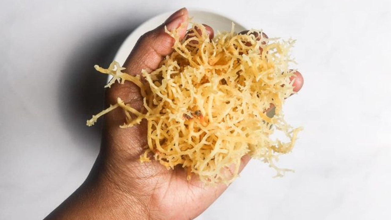 Sea moss skin benefits you didn’t even know existed