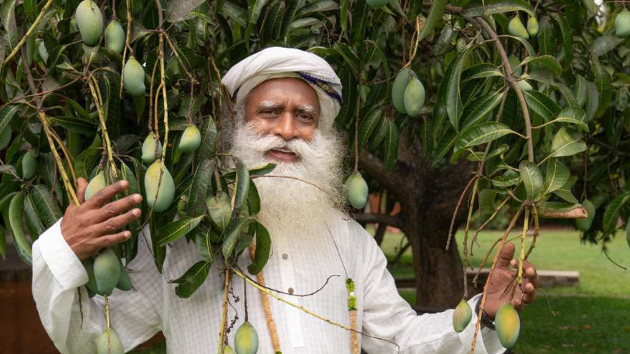 Fruits, nuts, vegetables, and sprouts are considered “live foods” in yogic terminology