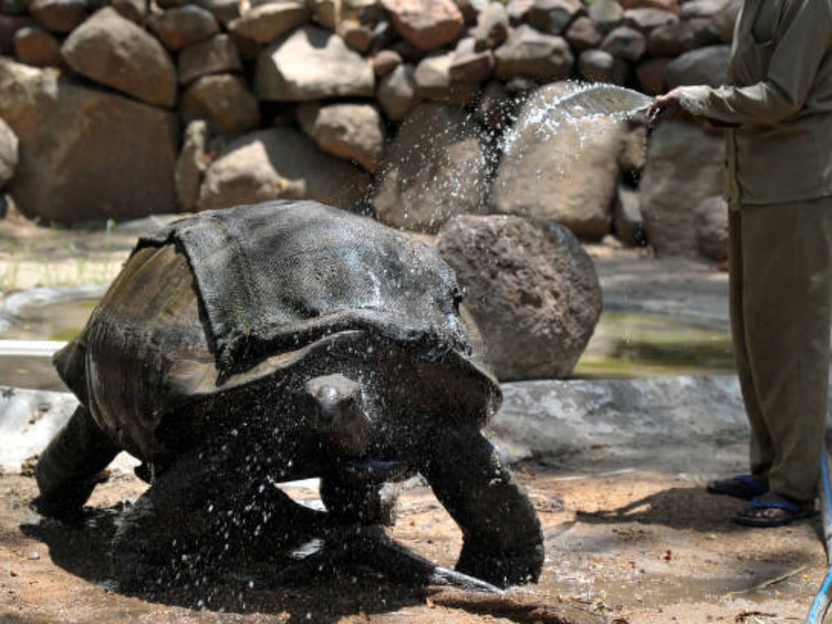 Hyderabad’s Nehru Zoo