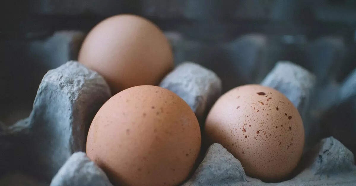 FAKE EGGS