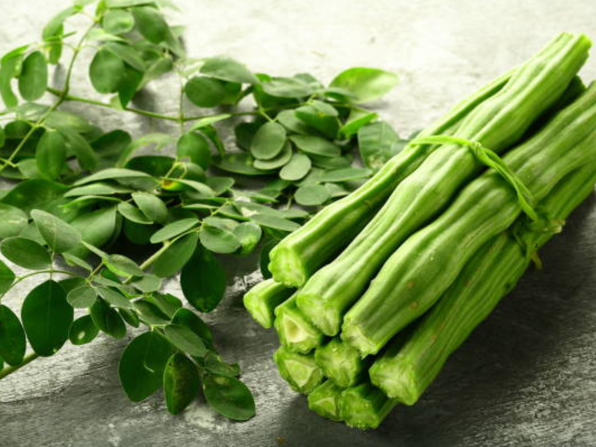 Drumstick (moringa pods)