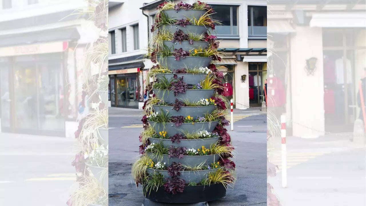 Tiered plant stands