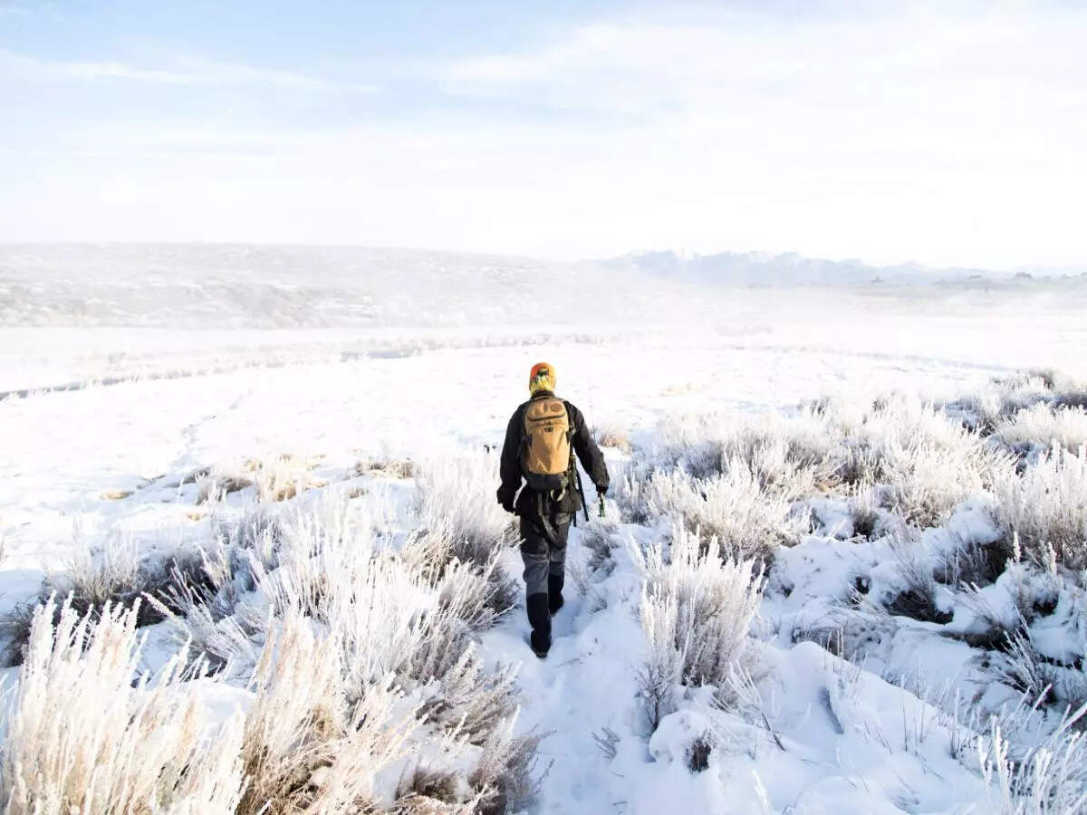 Fly-Fishing-Hot-Creek