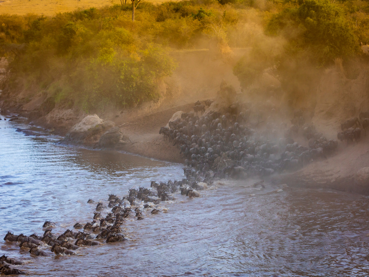 Great Migration