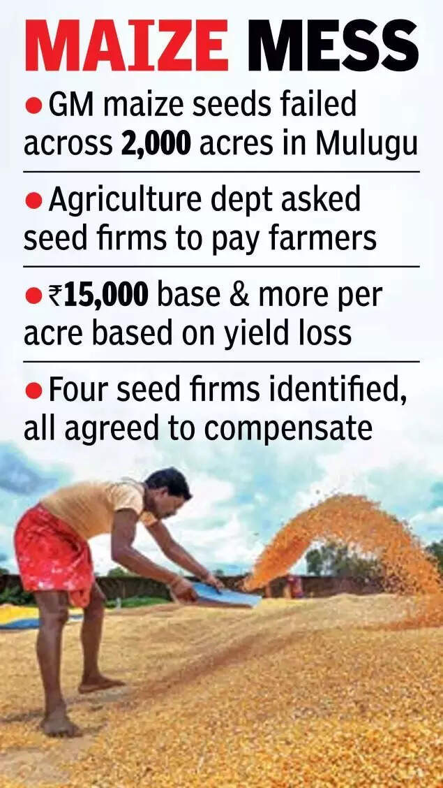 Following a thorough damage assessment, agriculture officials have directed seed companies to provide financial relief.