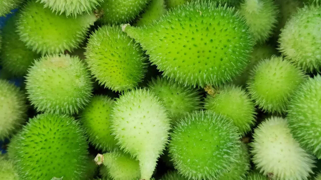 Spiny gourd