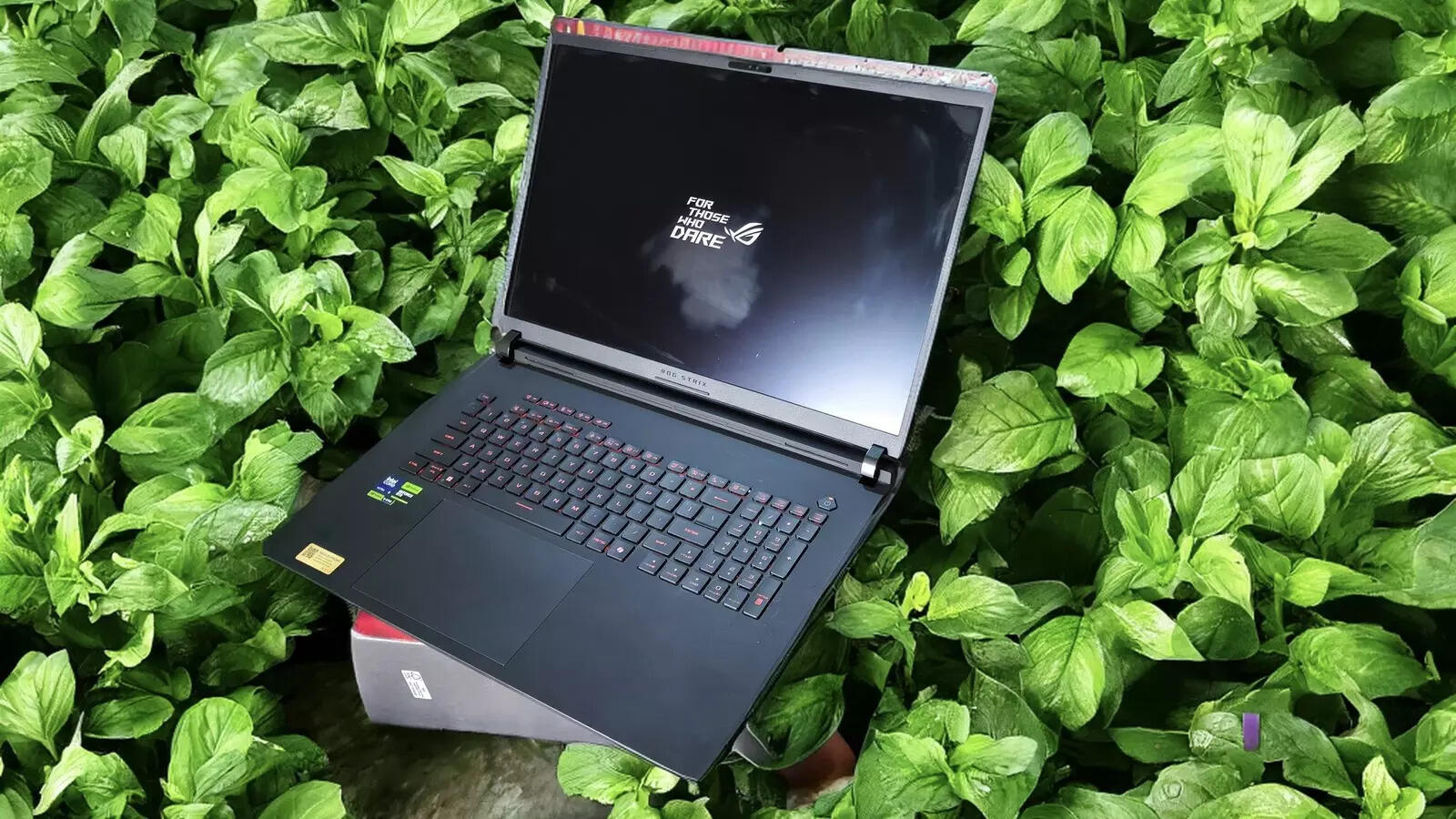 Asus ROG Strix Scar 18 (2025)