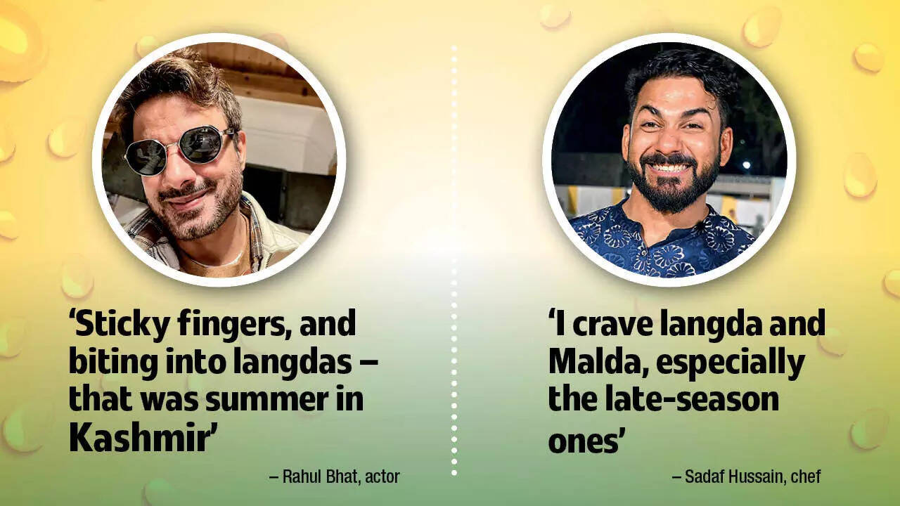 Rahul Bhat and Sadaf Hussain crave for langda aam