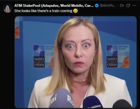 Giorgia Meloni's facial expressions go viral after Nato summit