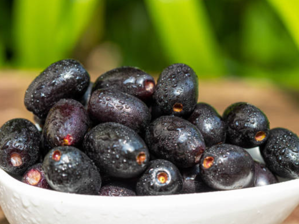 Jamun