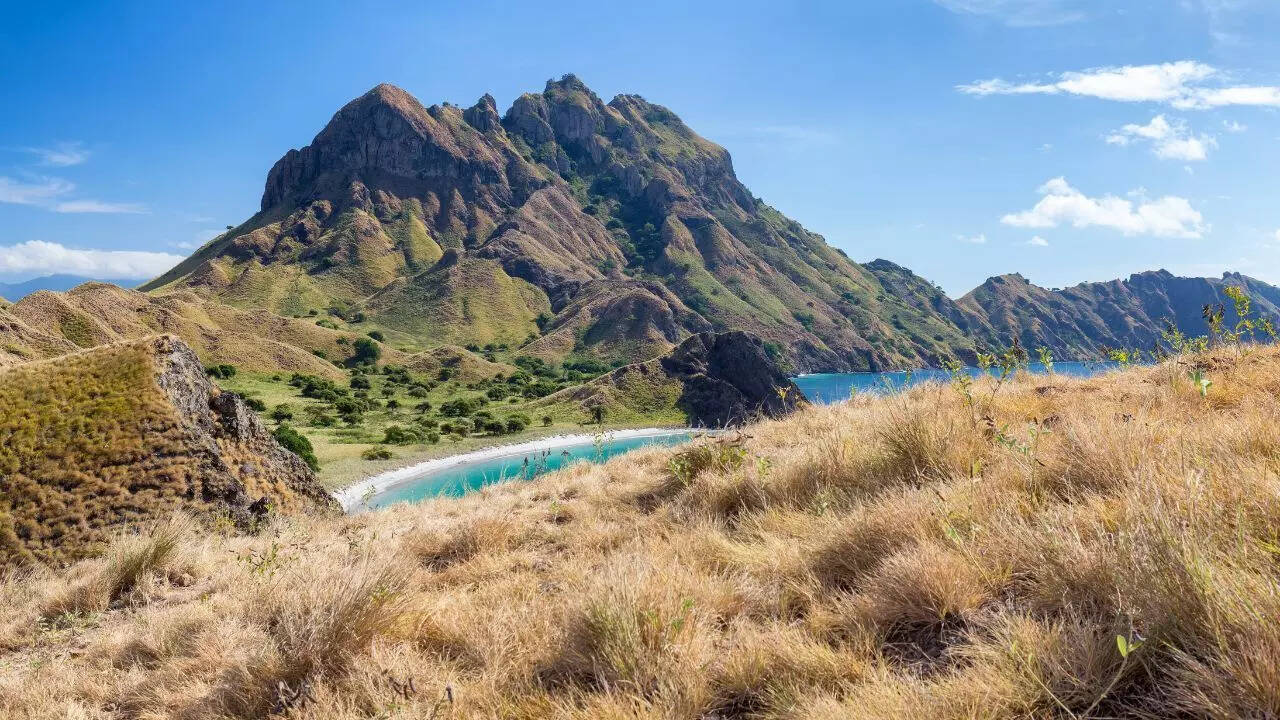 Komodo national park