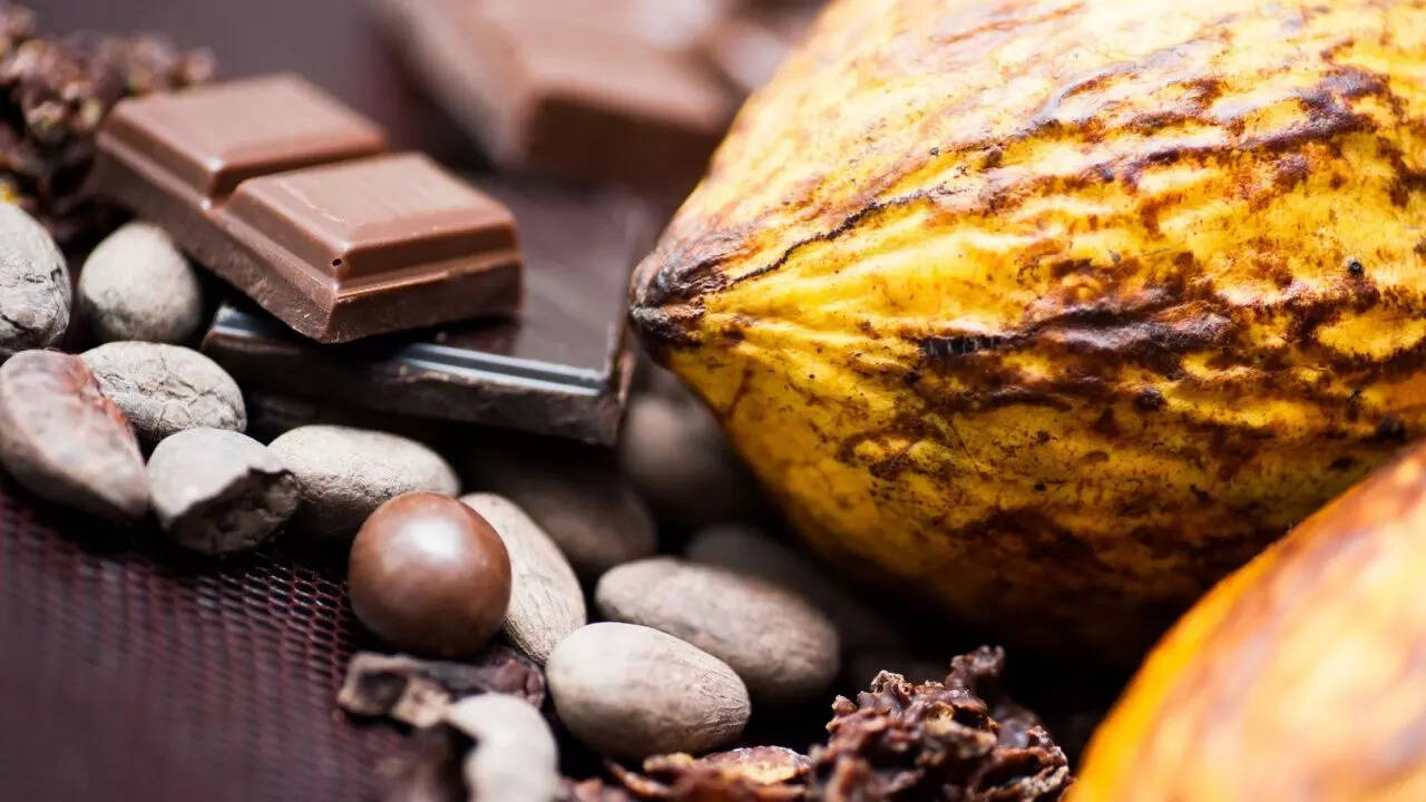 Chocolate (18)