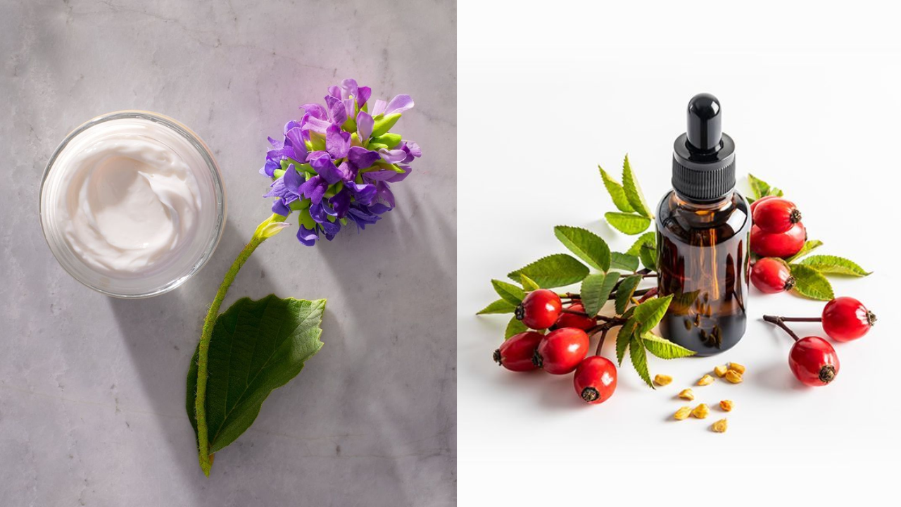 Retinol alternatives