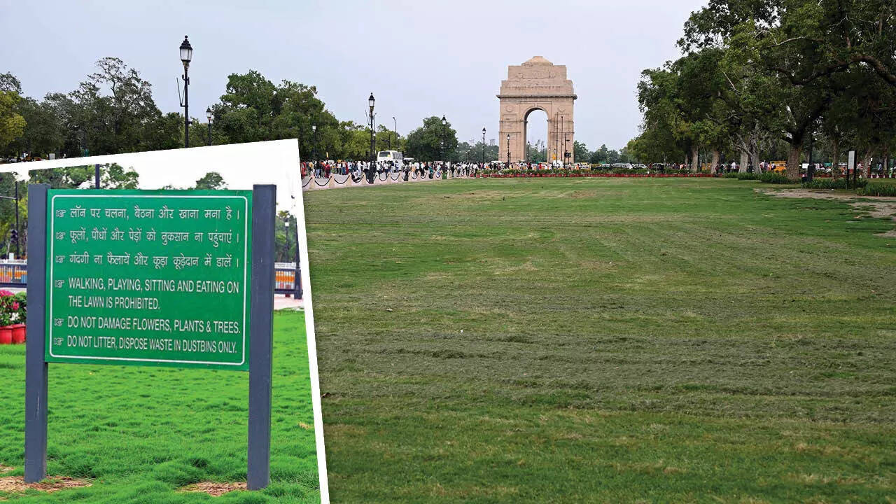 As per new guidelines, while sitting, eating, walking and playing on the lawns is prohibited at all times, the hexagon lawns, surrounding the monument, have to be vacated entirely by 8pm, and the rest of the lawns have to be vacated by 9pm