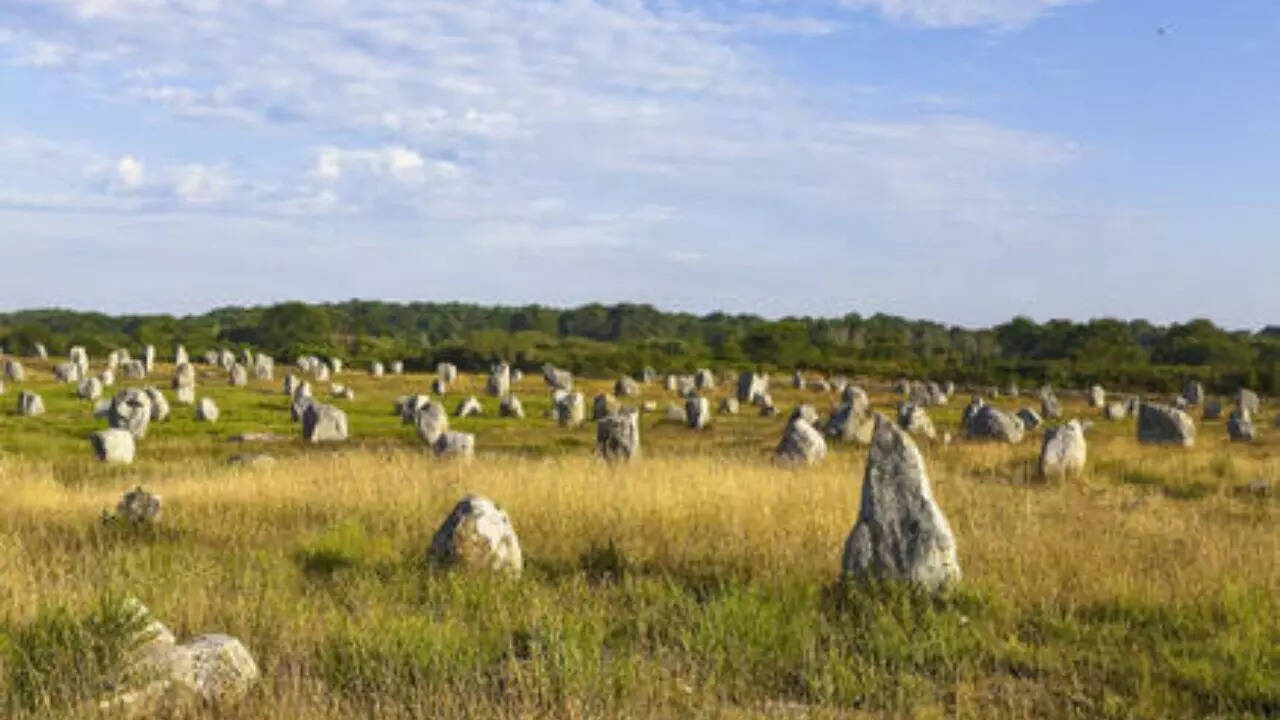 Megaliths of Carnac (France)