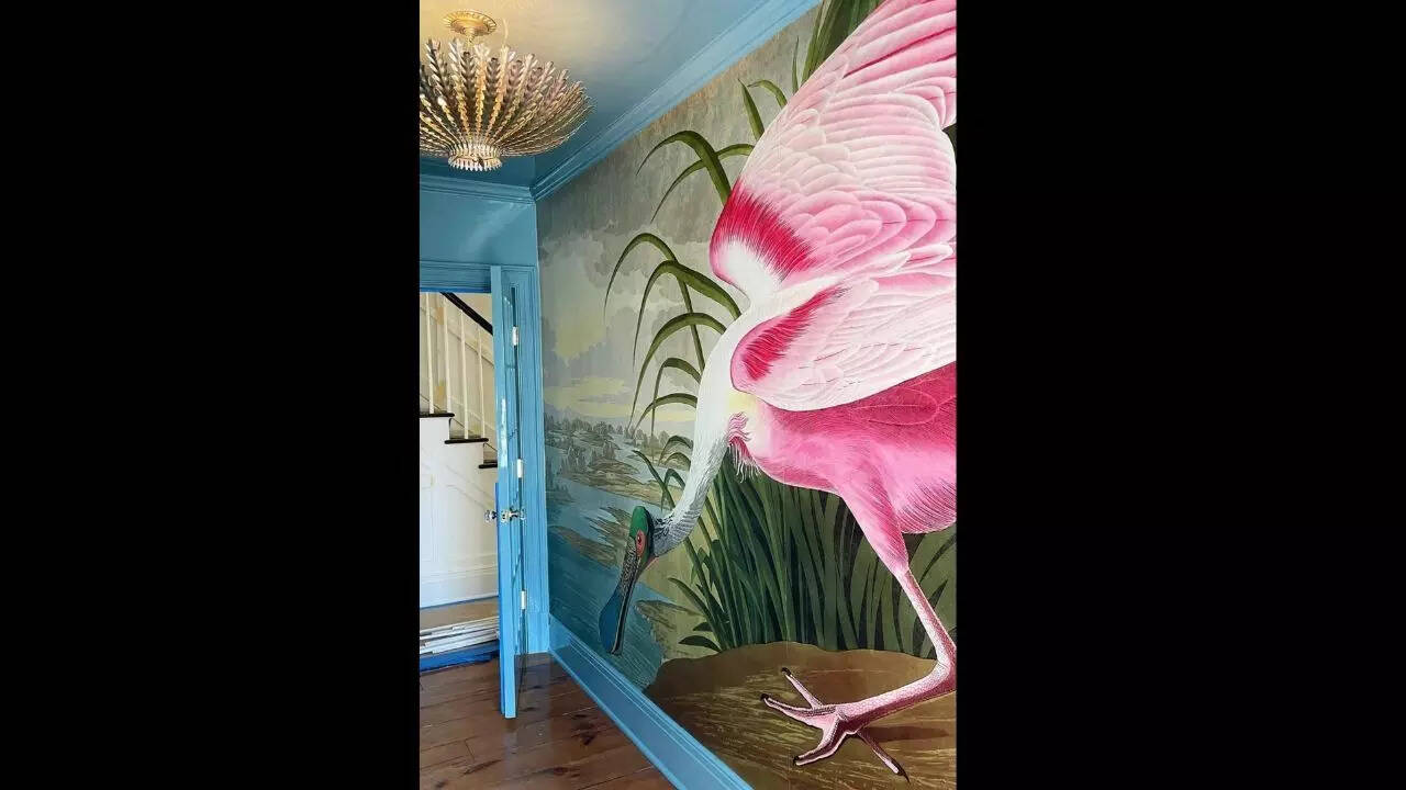 Murals and storytelling walls