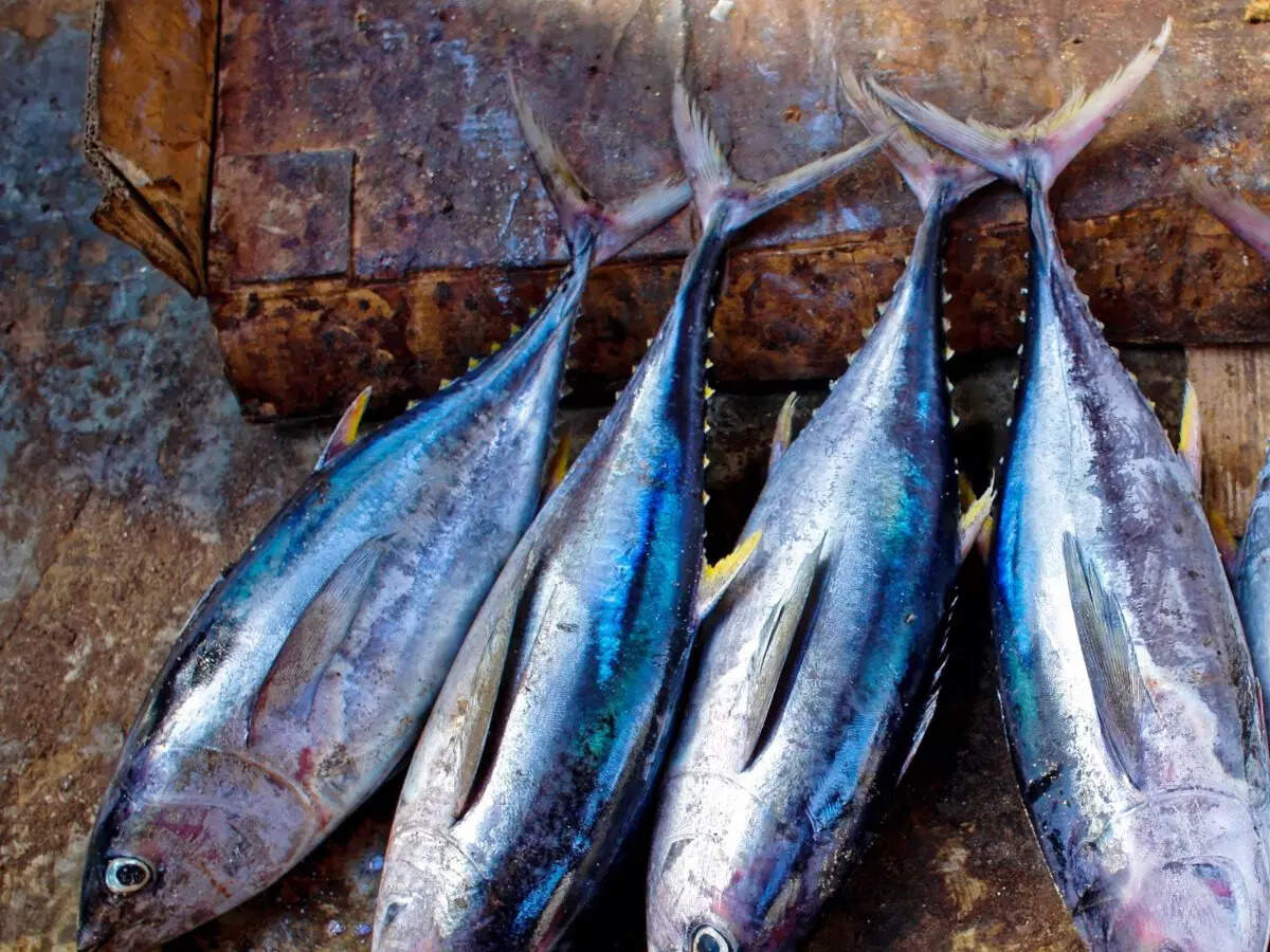 Fatty Fish
