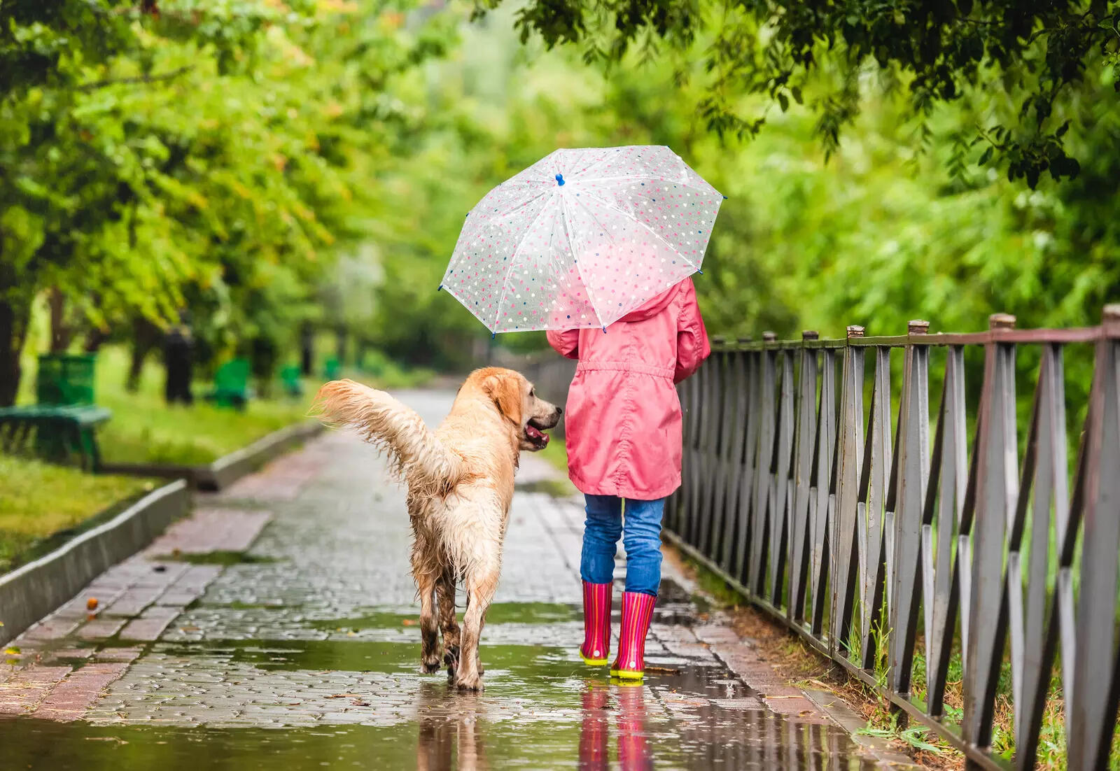 iStock-1429022162
