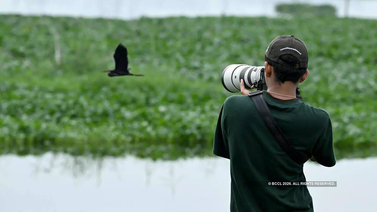 When birding in the monsoon, it is important to take care of binoculars and cameras, and ensure that they are dry
