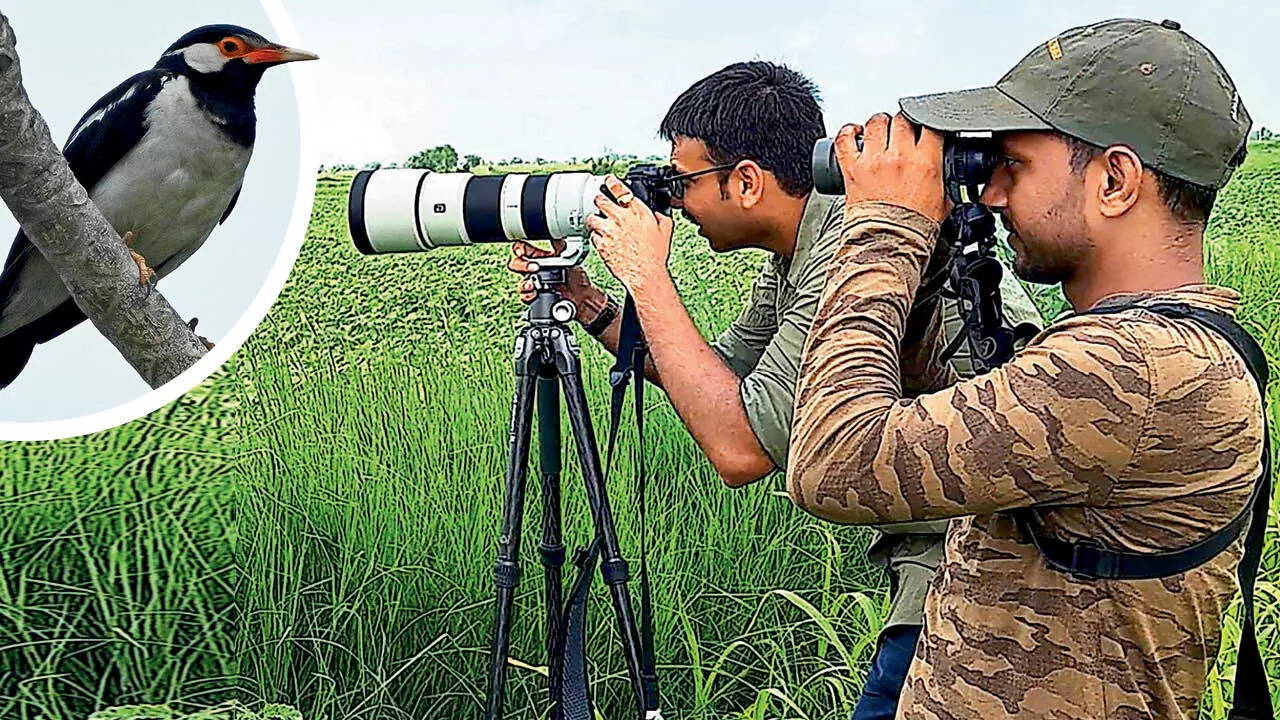 Apart from Okhla Bird Sanctuary and Sanjay Van in Delhi, one can plan birding walks in Yamuna Biodiversity Park and Asita East Park (Pic: @asian_adventures_india)