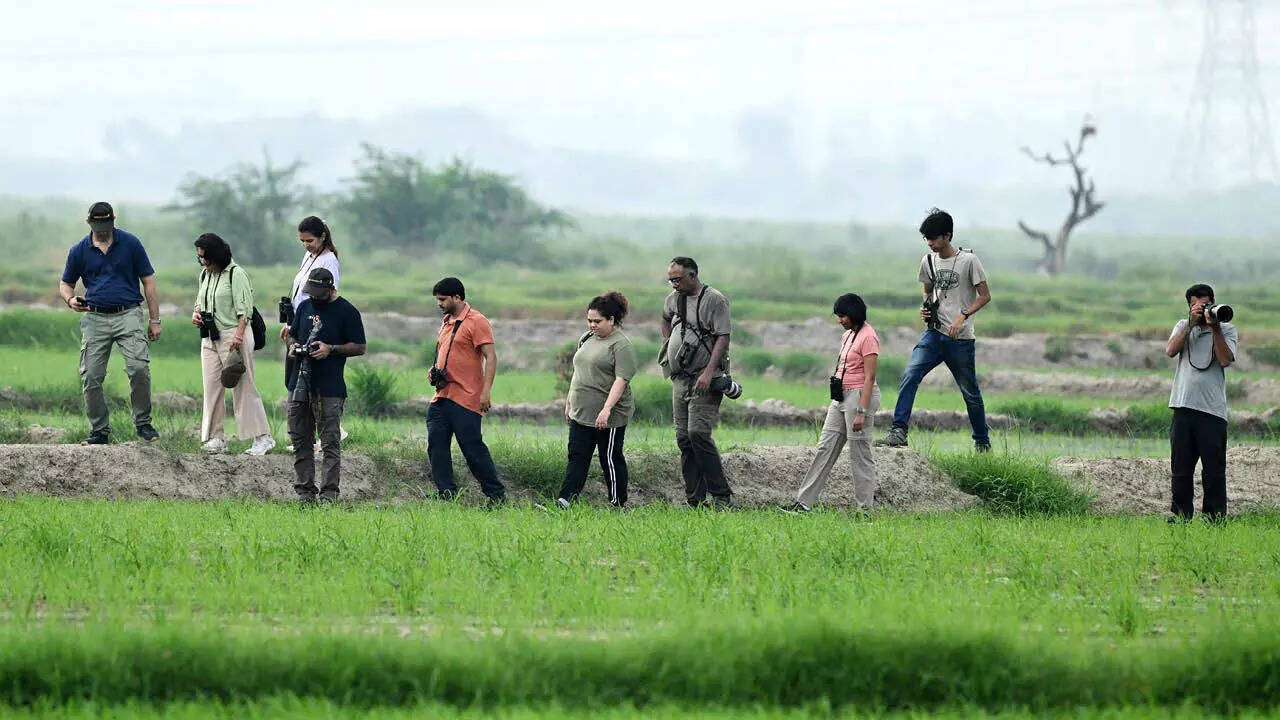 “The familiar resident birds don vibrant colours and sing like never before. Alongside them are the summer and monsoon visitors,” says Pankaj Gupta, who recently conducted a birding walk in Chandu Budhera