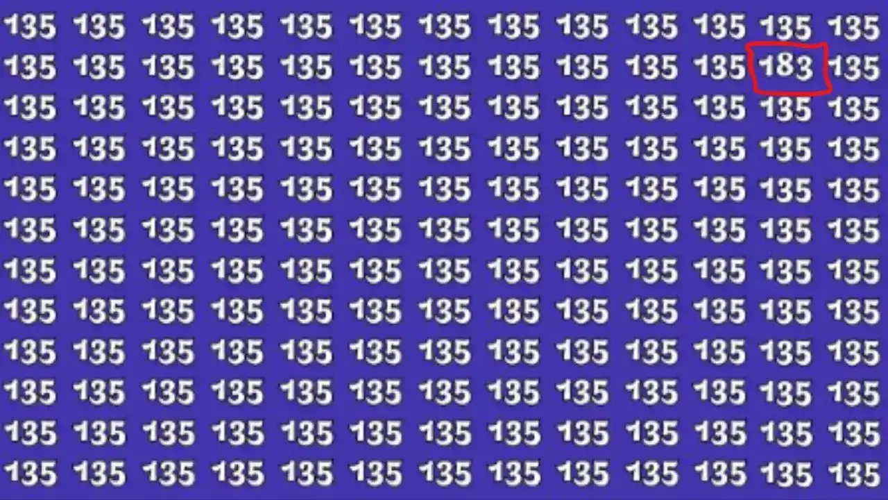 Optical Illusion Answer
