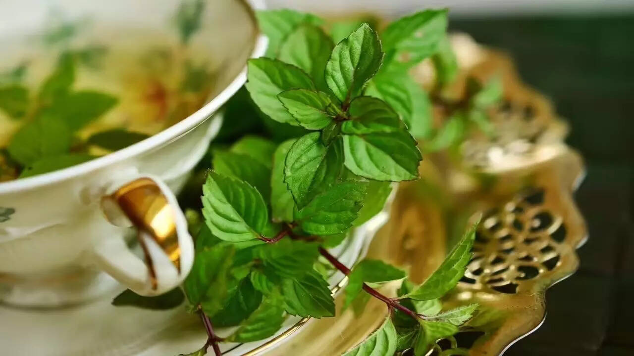 Mint (Pudina)